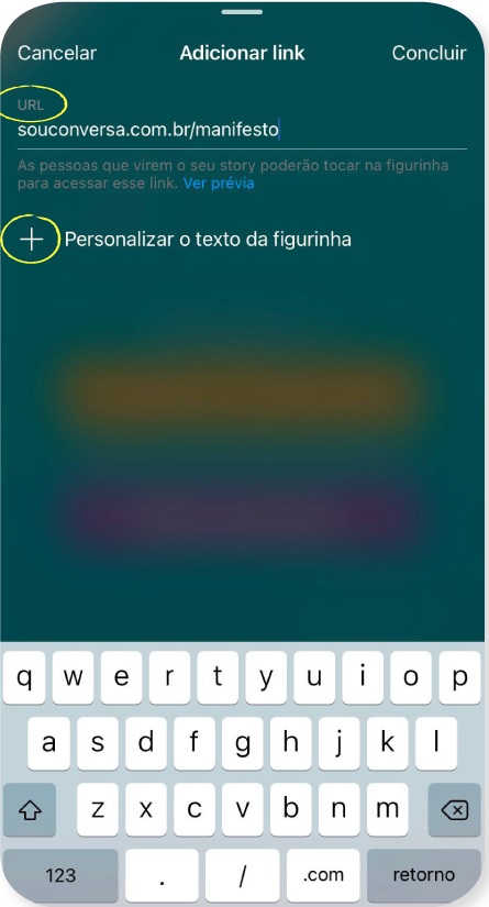Insira a URL e confira na prévia se está correta